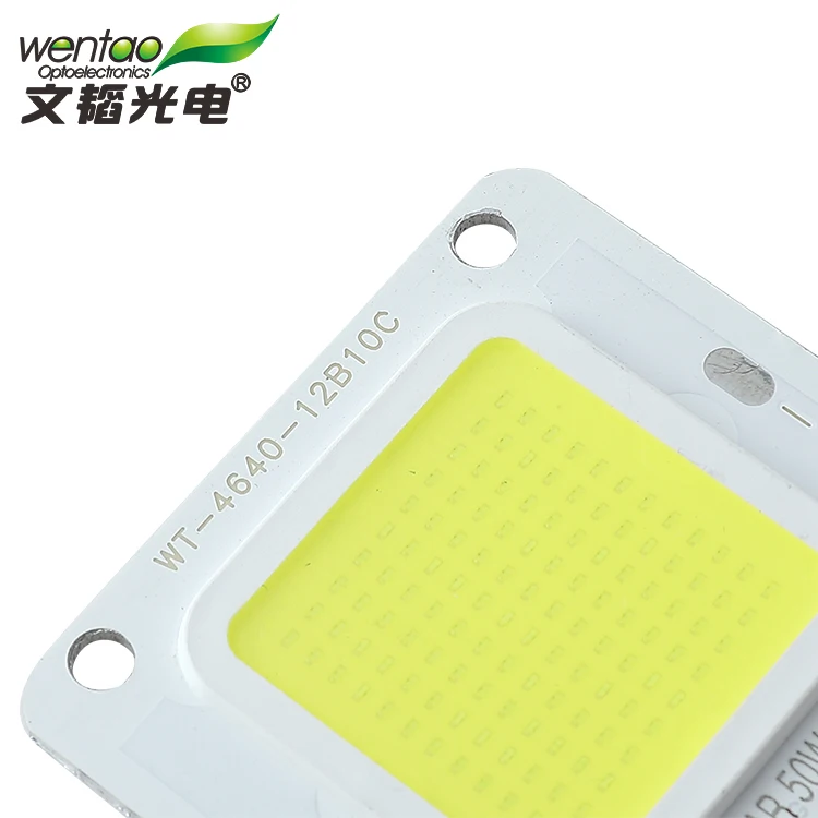 Bridgelux 1530 Chip High Product 50W 60W Smd Led Light For Outdoor landscape lighting