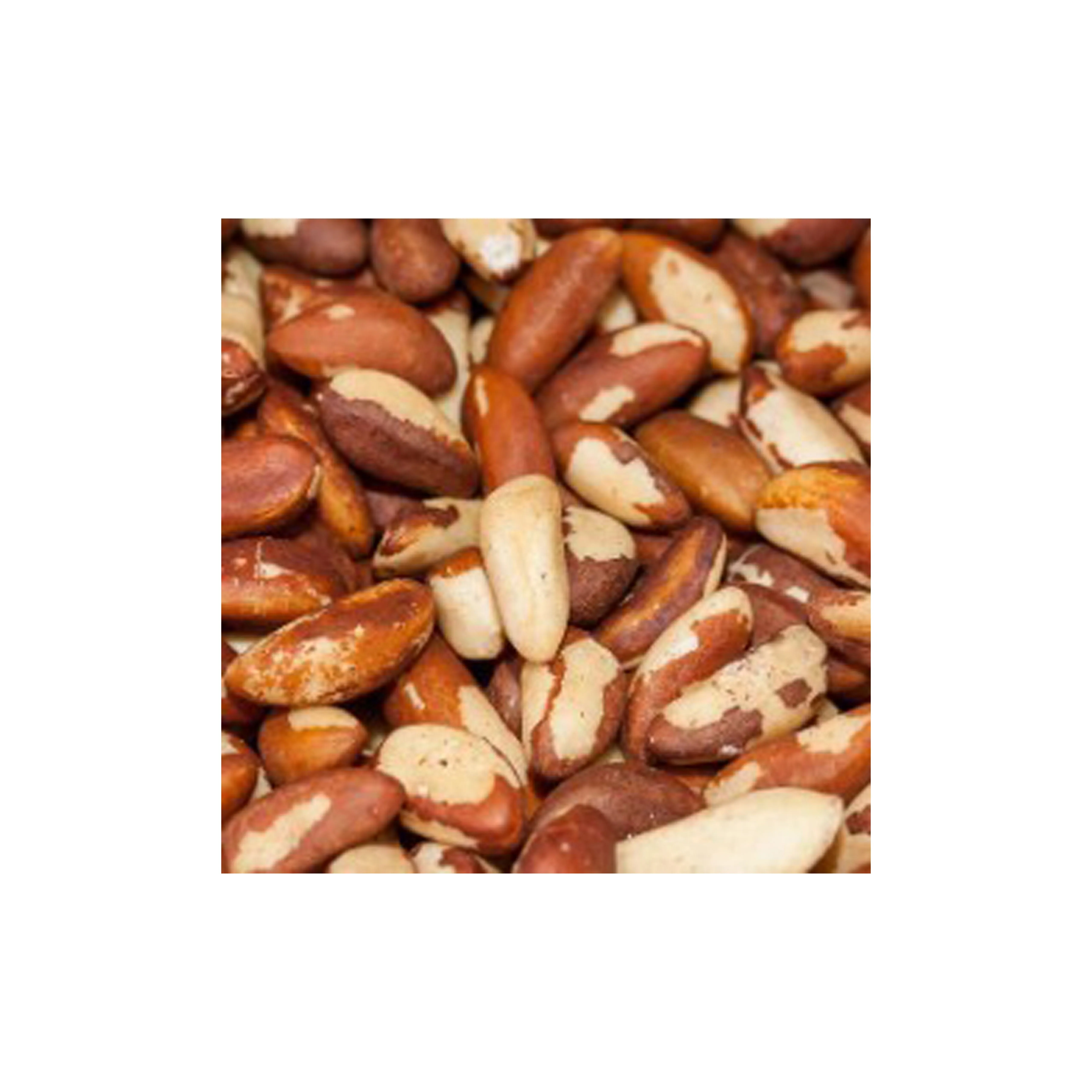 
 Жареные и необработанные крупными партиями бразильские орехи хорошего качества оптом  