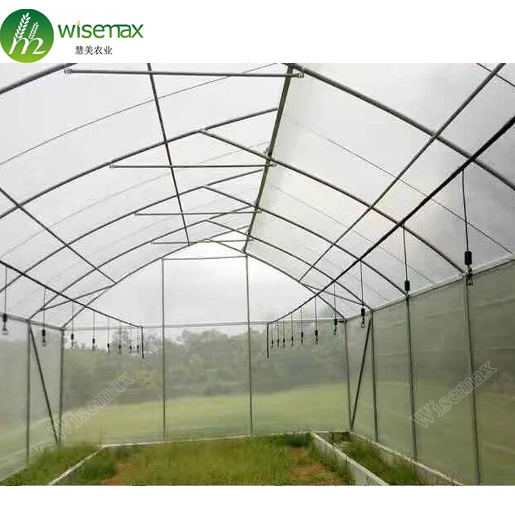 Hydroponic growing system single span tunnel venlo greenhouse for tomato