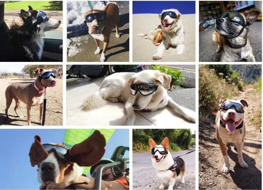 
Best Selling Adjustable UV Windproof Dog Pet Goggles Pet Sunglasses 