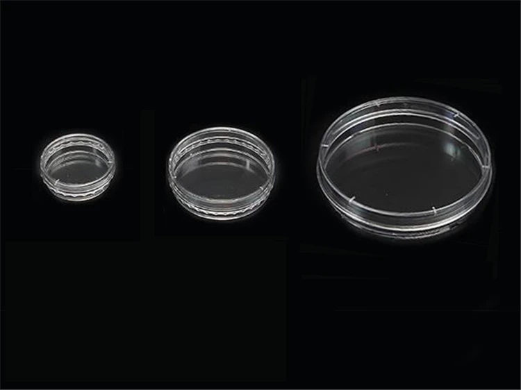 round petri dish