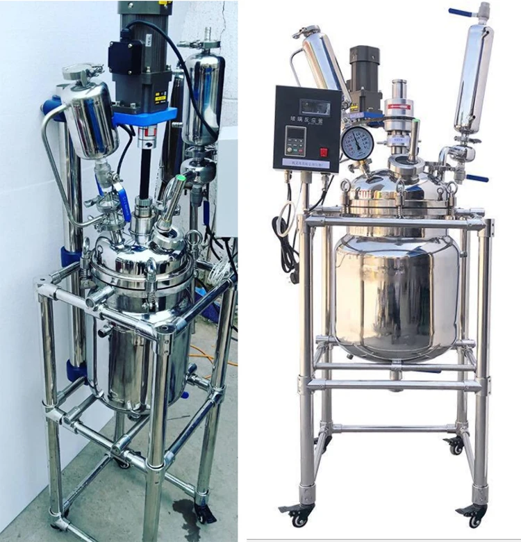 100 Liter Laboratory 20L gg17 Borosilicate Glass Industrial Lab Fermentor Stirred Reactor Bioreactor with Agitator