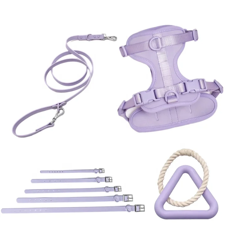 2023 Hot Selling Factory Wholesale Custom Logo Purple Pvc Soft Hunting Waterproof Small Pet Dog Collar And Leash Harness