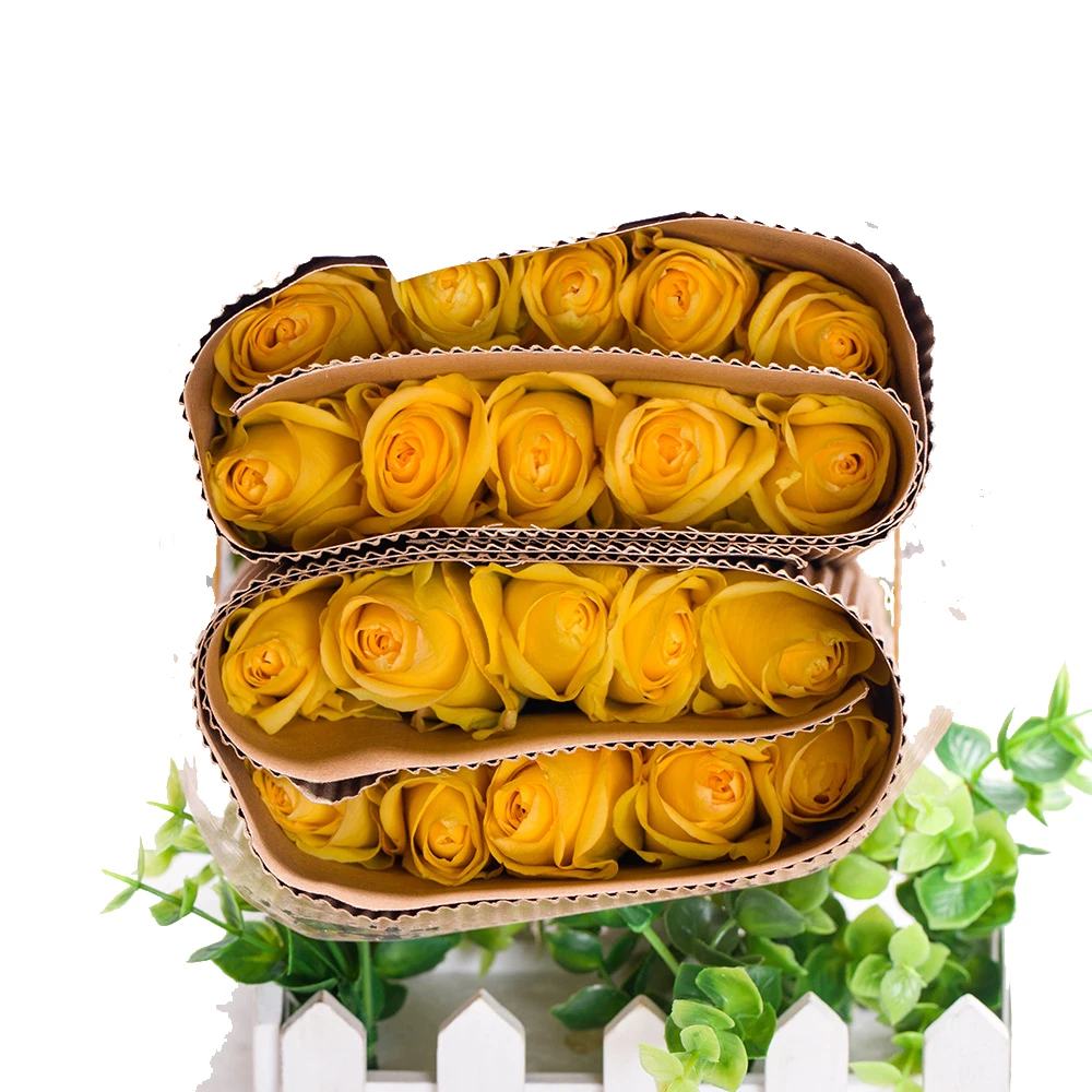 Hot Selling 2023  Fresh Cut Flowers Natural Yellow Roses For Wedding/Mothers Day Gifts Decoration Color Plants