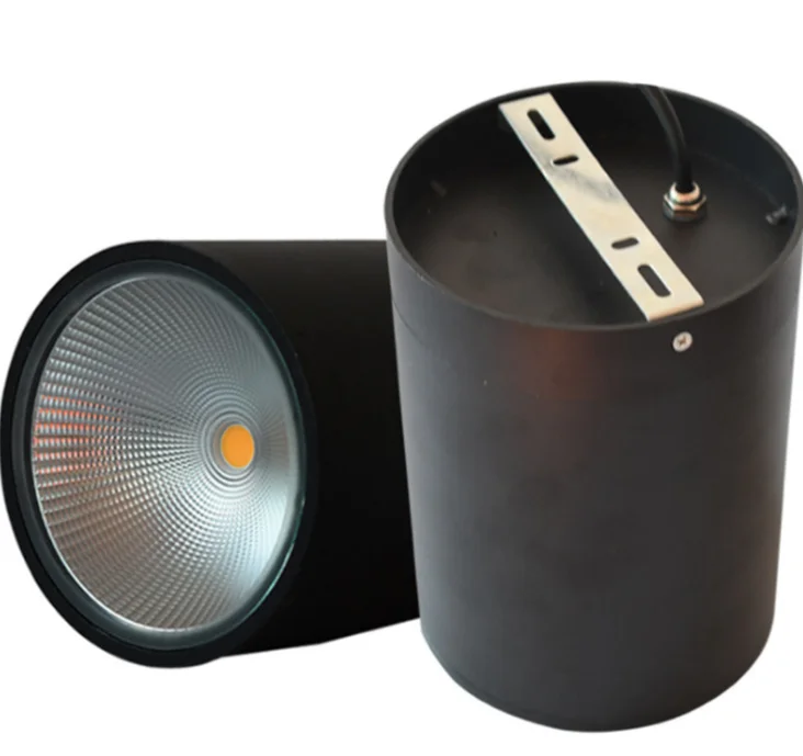 ip65 ceiling surface lamp 50w downlight for outdoor lighting