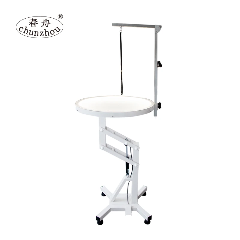 Professional dog grooming table Pneumatic lift pet grooming table with light N-121