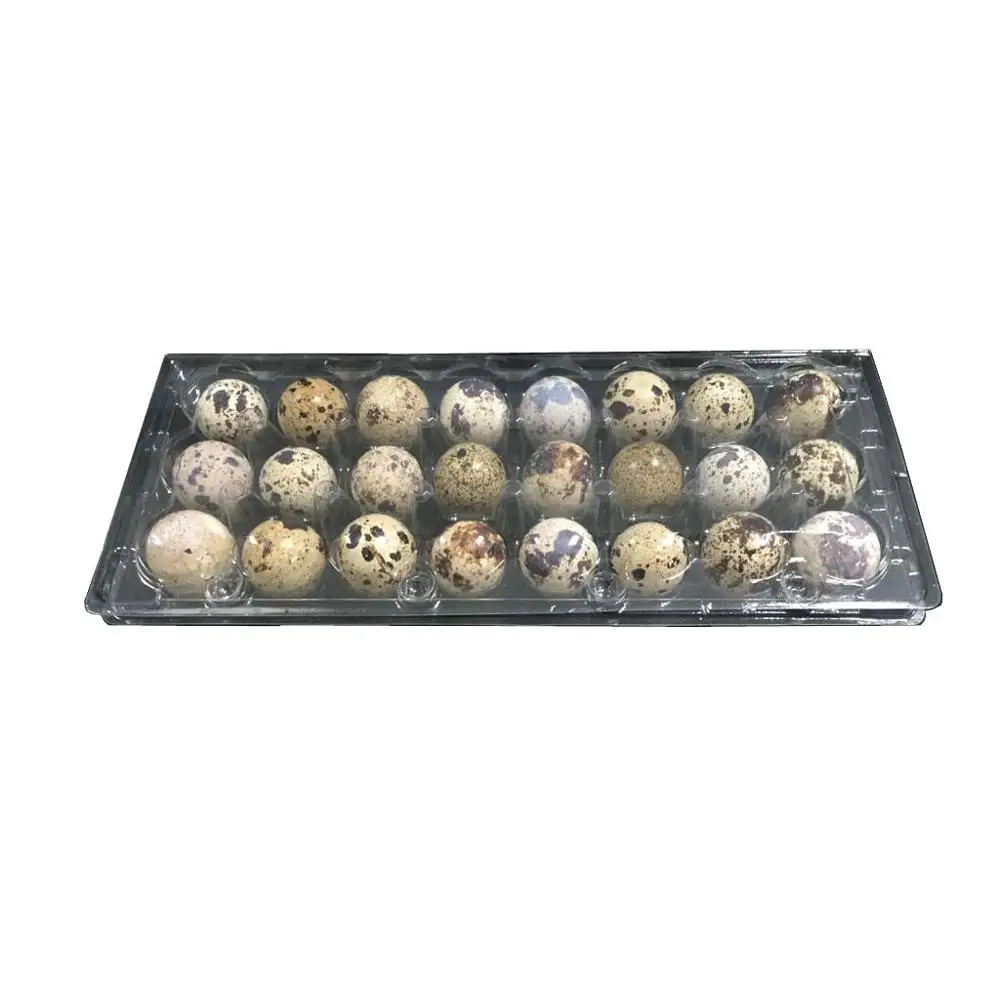 24 caves quail egg tray