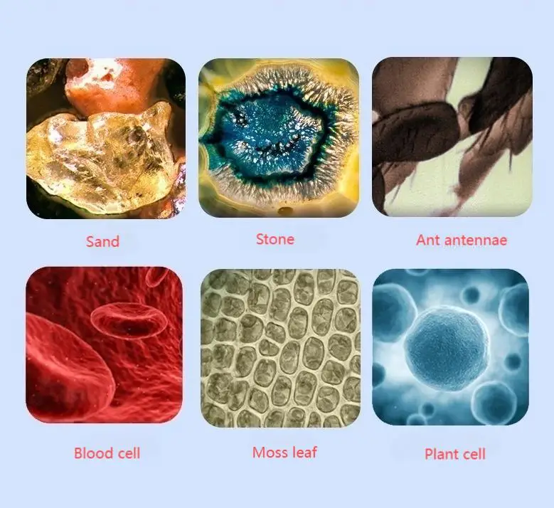 Mini Pocket microscope Kit 60-120x Lab Handheld microscope Battery Powered microscopes With LED Light Kids Science tool