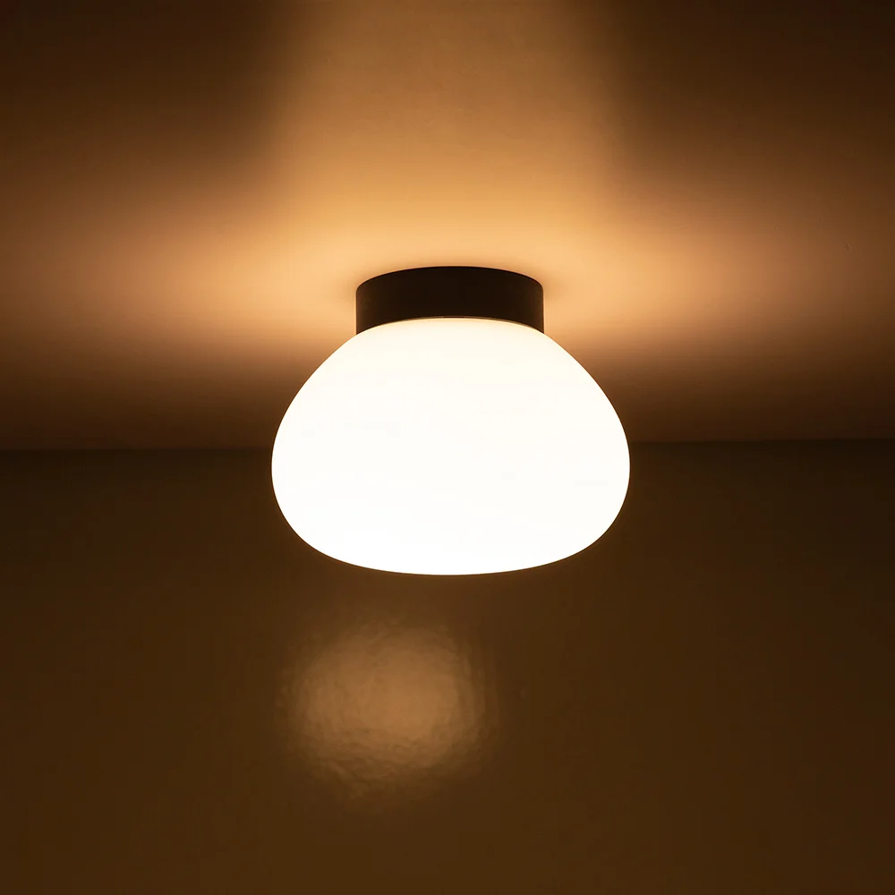 Modern Craftsmanship IP65 waterproof Indoor Outdoor Surface Mounted Opal Globe Glass Wall Light