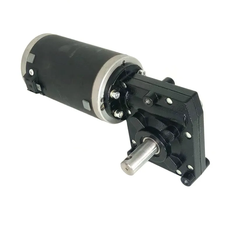 Dc Motor Worm 100Rpm 50Rpm 48V 500W 24V 1/2 Hp Permanet Magnet 12V Dc Gear Motor
