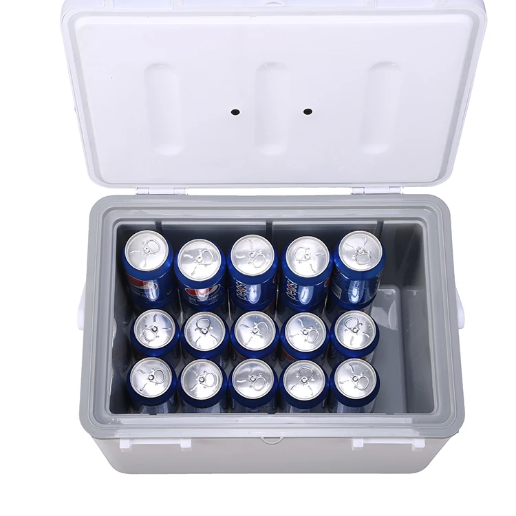 22L Customized Plastic Medical Transport Coolers Picnic Portable Food Ice Chest Cooler Box
