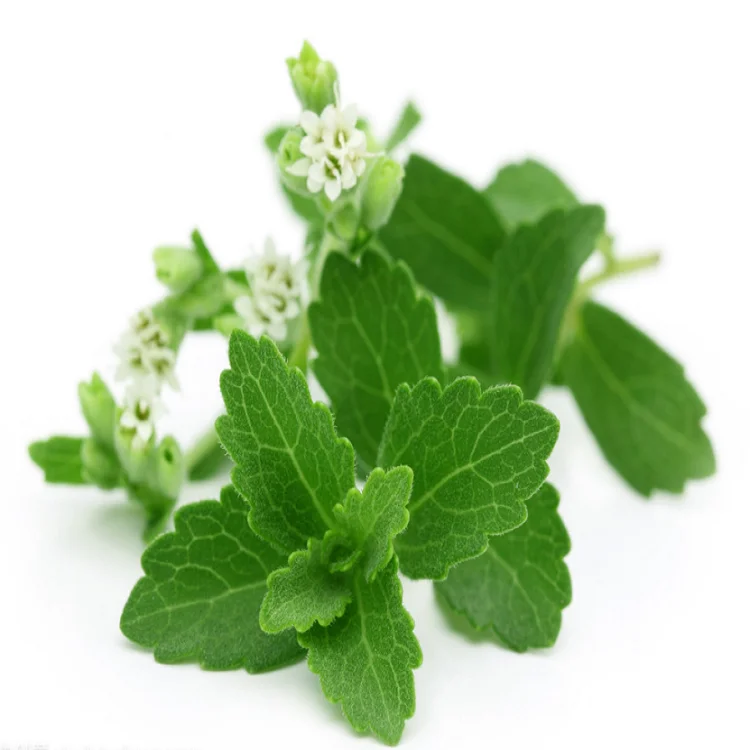 Natural Stevia Leaf Extract Steviosides Stevia Extract Sweetener  Powder