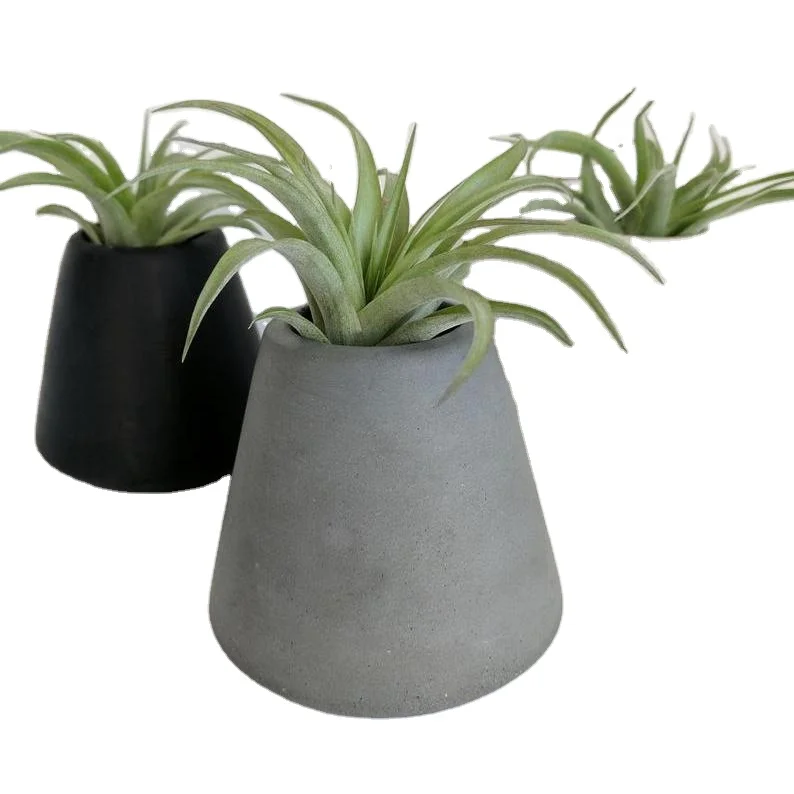 Concrete Air Plant Holder with Modern Design Cement Plant Pot Small Succulent Pot July 4th Modern Party Gift