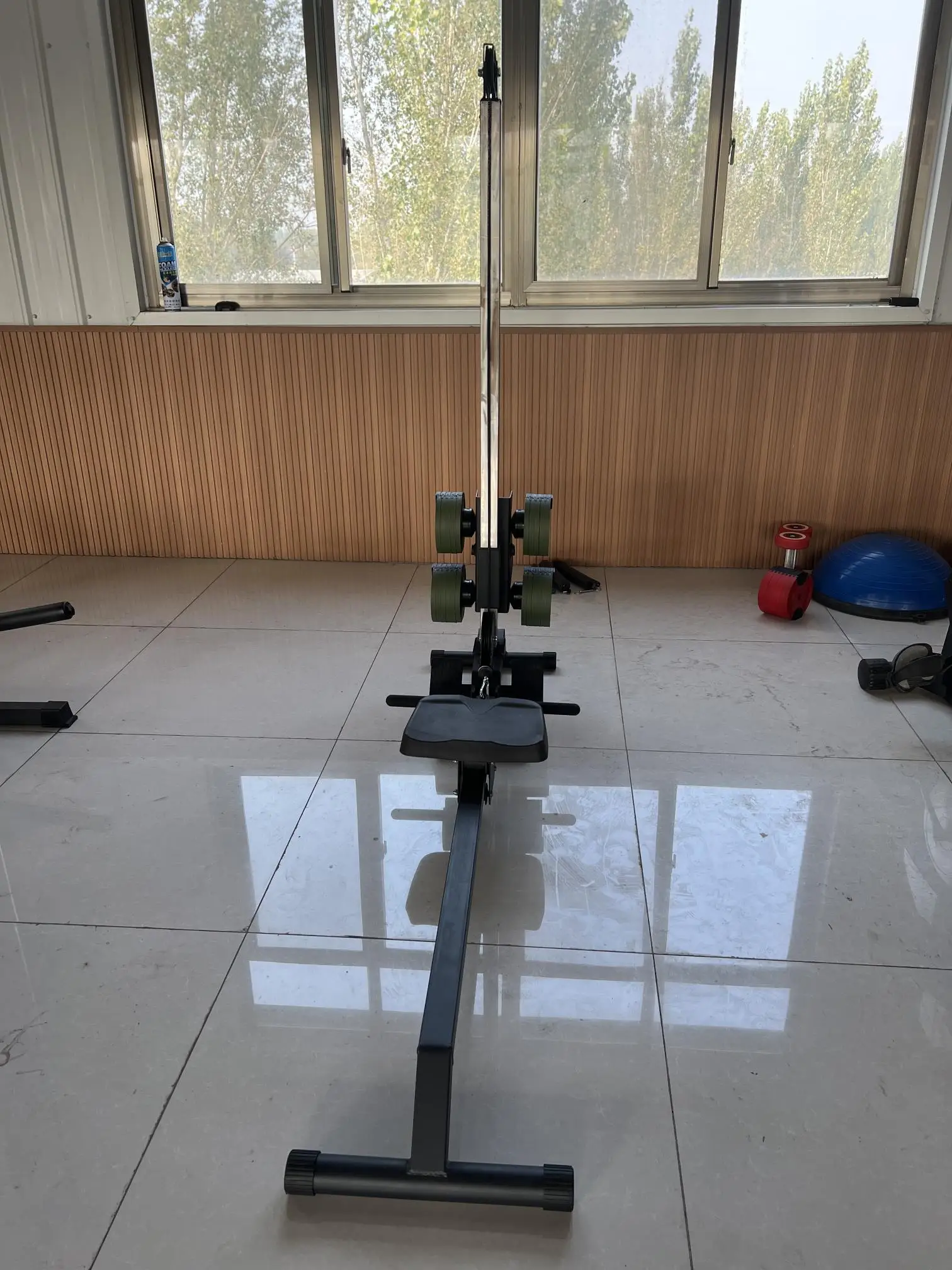 New Design Gym Equipment Fitnesss Dumbbells Rowing Machine for Home Exercise