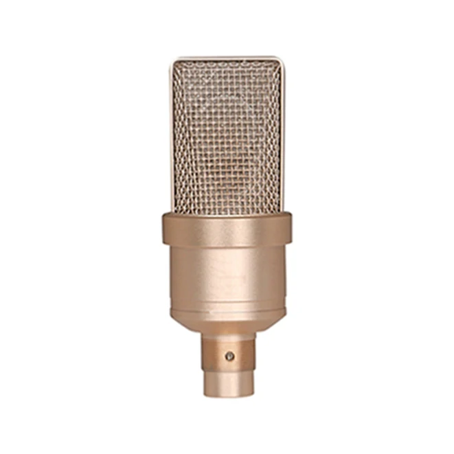 Professional Studio Condenser Microphone Recording Sound TLM 102