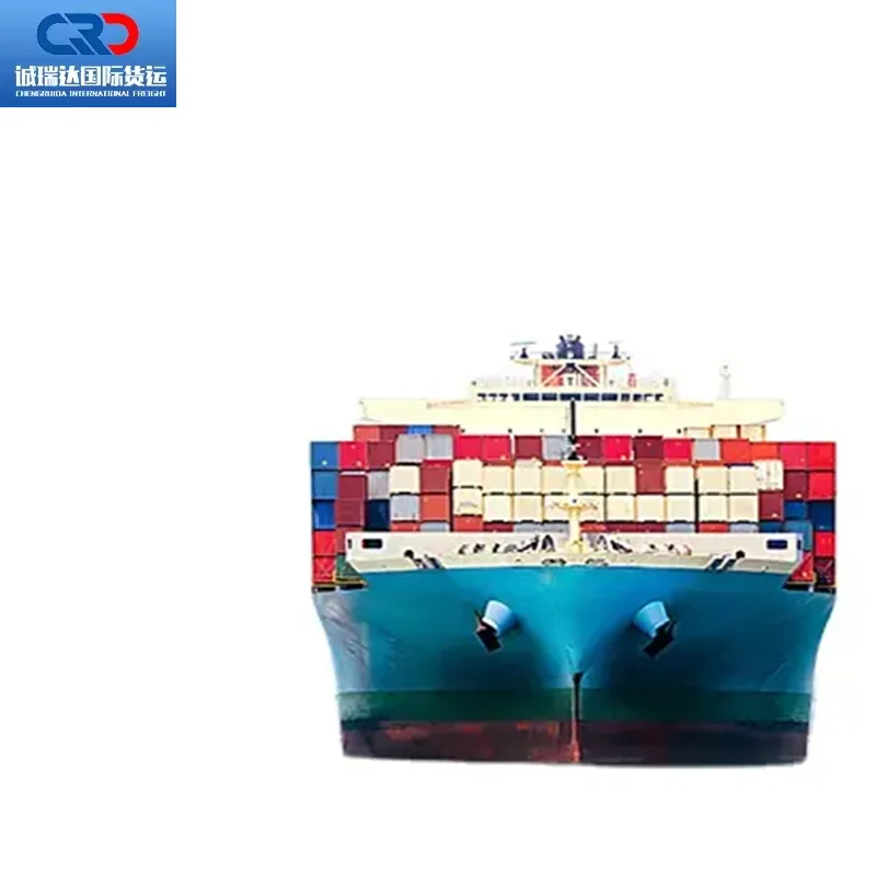 Logistic Service DDP Cargo Ship Agent UPS DHL Express Sea Shipping Air Freight Forwarder China to Spain USA Mexico CA
