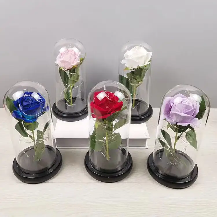 Love Roses in Glass Tube Dome Everlasting Flower Rose Stem Flower Glass Dome Rose