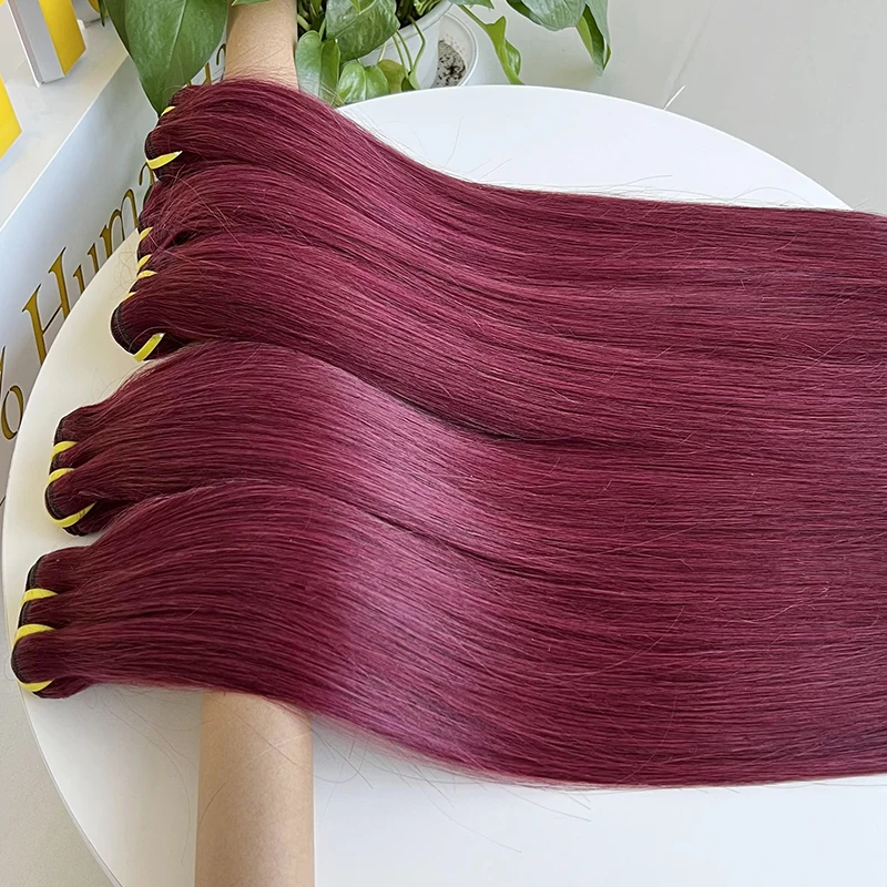 GDY Human Hair Double Weft Extensions Brazilian Virgin Hair 99J Burgundy Bone Straight Hair Bundle
