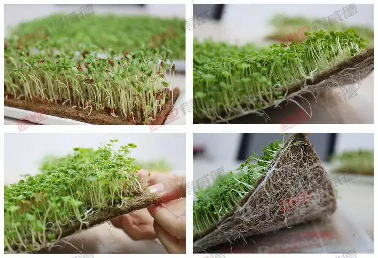 High quality jute mat Eco Friendly Biodegradable Nonwoven Jute Felt Fabric Roll for growing