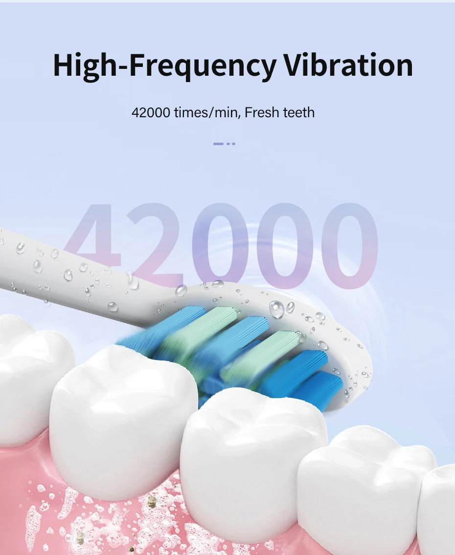 Custom USB Rechargeable Travel Electric Toothbrush IPX7 Automatic Sonic Toothbrush with 8 Medium Bristle Head for Adults
