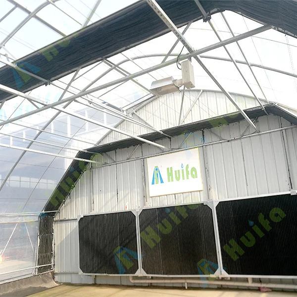 Auto Blackout Light Deprivation Greenhouse Manufacturers Tunnel Green Houses For Sale In USA