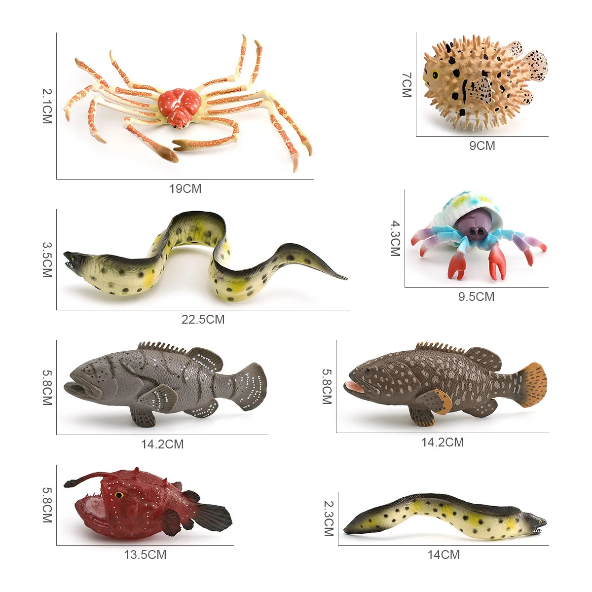Cross-border Simulation Marine Animal Model Spider River Dolphin Fish Grouper Hermit Crab Moray Eel Ornament Toy