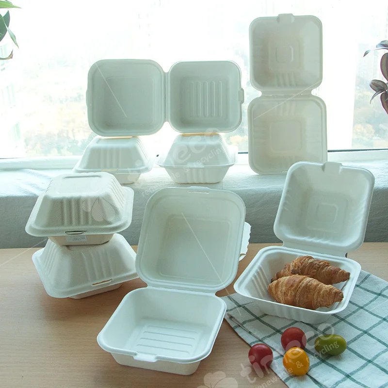 Bagasse Biodegradable Food Container Sugarcane Hamburger Box 6 Inch All Size Clamshell Box paper box packaging