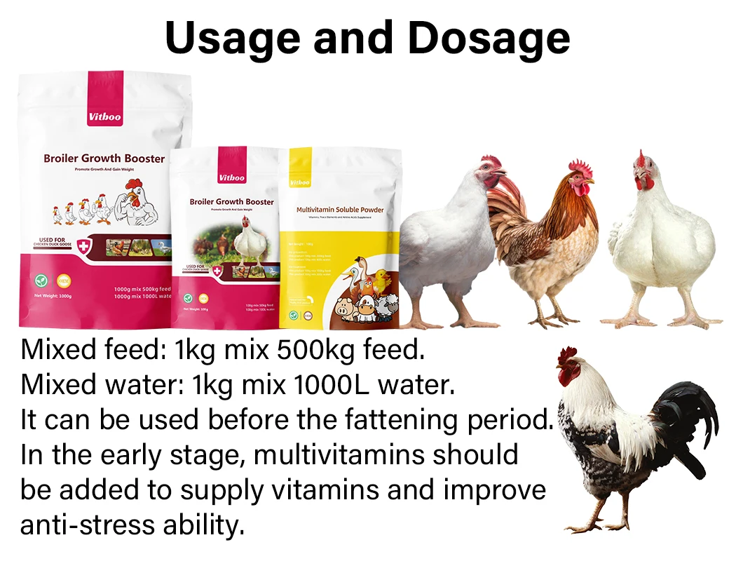Poultry gain weight growth booster multivitamin premix mixed additives for broiler fattening Bacillus subtilis Lactobacilles