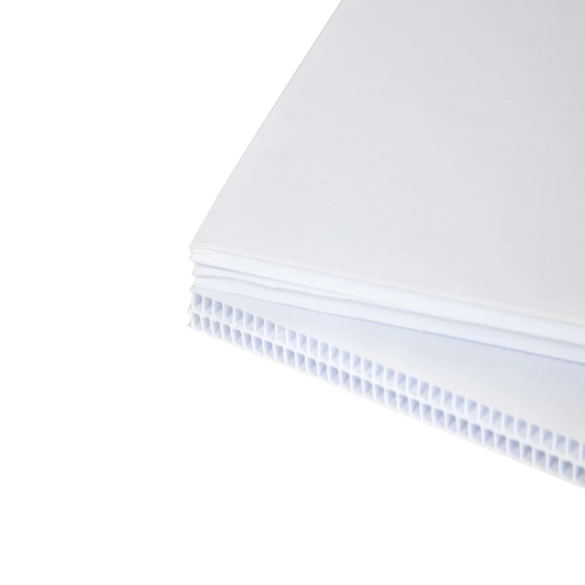 Customized wholesale pp hollow plastic sheet polypropylene board pp sheet pp corrugated sheet