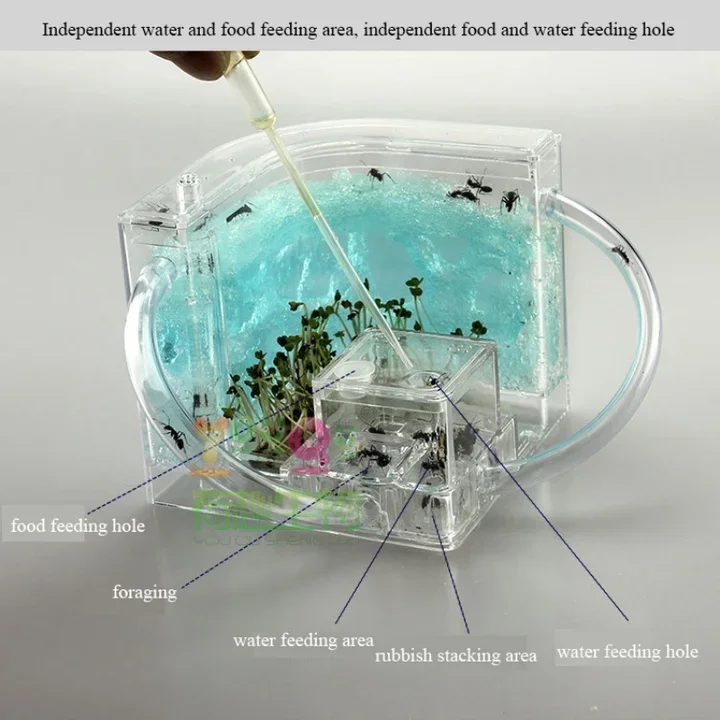 LED Light Ant Farm Castle Unisex Educational Toy for Home & School Science Learning Kit to Study Insect Behavior