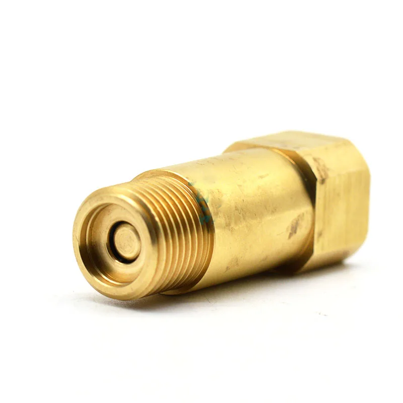 Anti-icing brass check valve frost 1/2 Antifreeze Valve drain valve