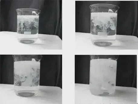 Top supplier bio agricultural fertilizer/planting/soil probiotics powder bacillus laterosporus