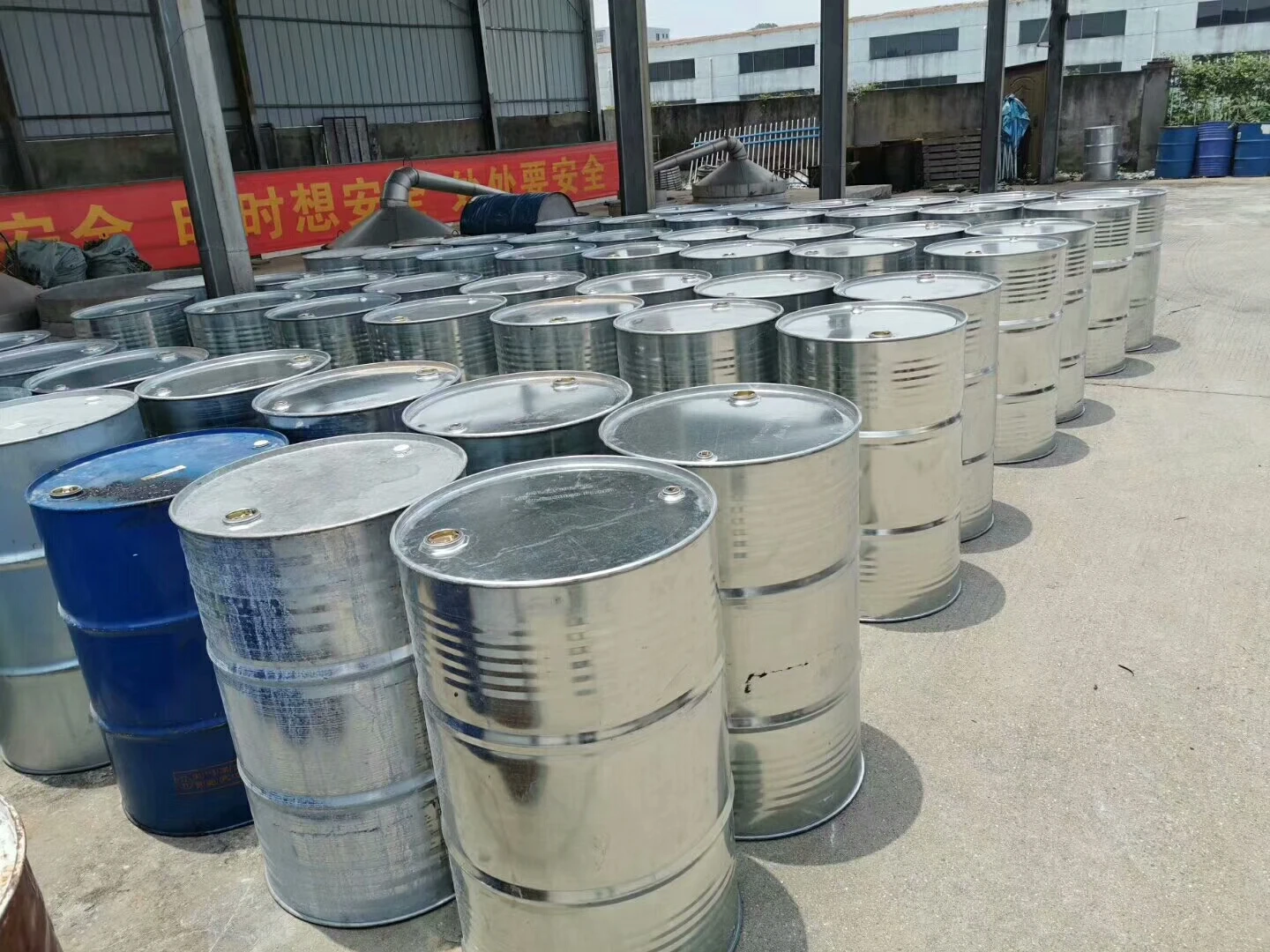 Wholesale Supplier of Moringa Essential Oleifera Oil High Quality Product at Competitive Prices