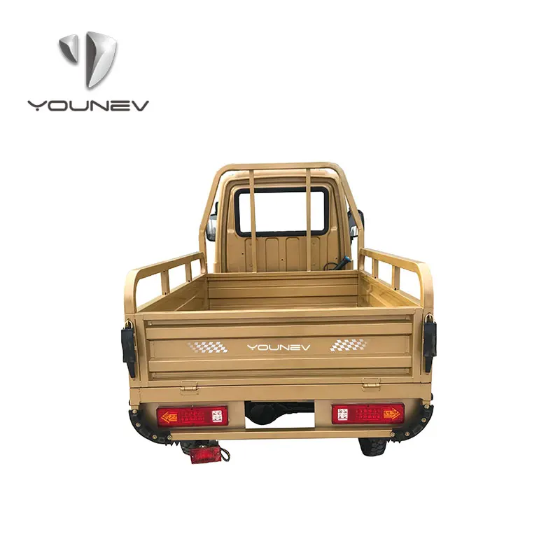 YOUNEV 250cc Wholesale high quality heavy load three wheel motorcycle gasoline engine cargo tricycle