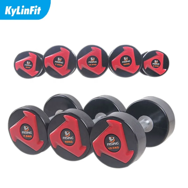 Kylinfit Home use Customized free weights fitness dumbbells gym equipment  iron home CPU Dumbbell for home