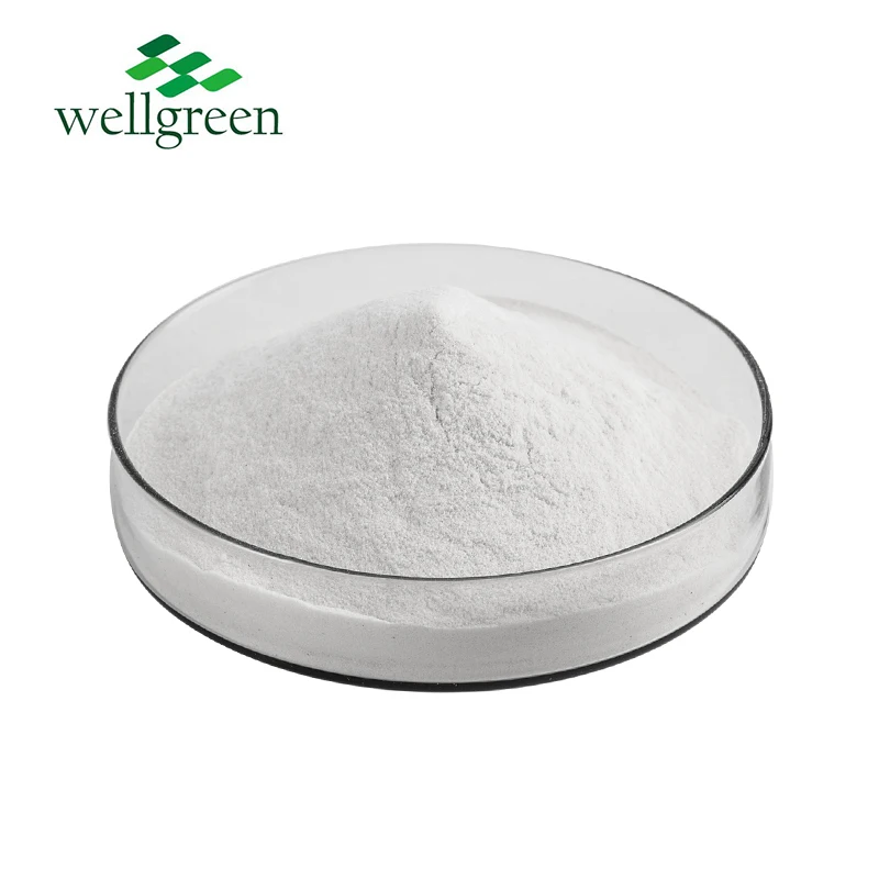 Wellgreen Фабричный органический экстракт корня цикория артишок 9005-80-5 халяльный порошок