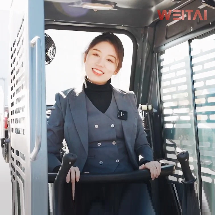 Original Manufacturer Mini 860 Kg Skid Steer Loader/China Factory Direct Supply Skid Loader with Snow Plow Attachment Low Price