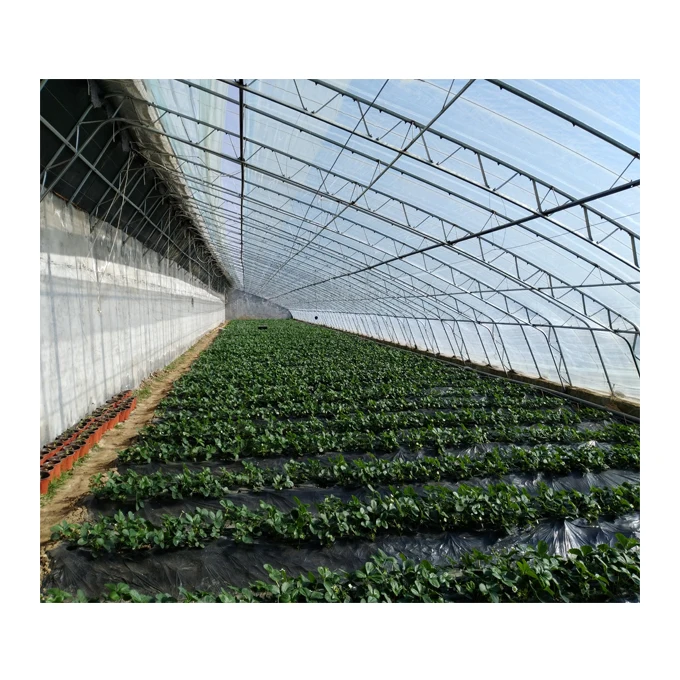 Китайская теплица с солнечной теплой зеленой пленкой для дома с системой отопления