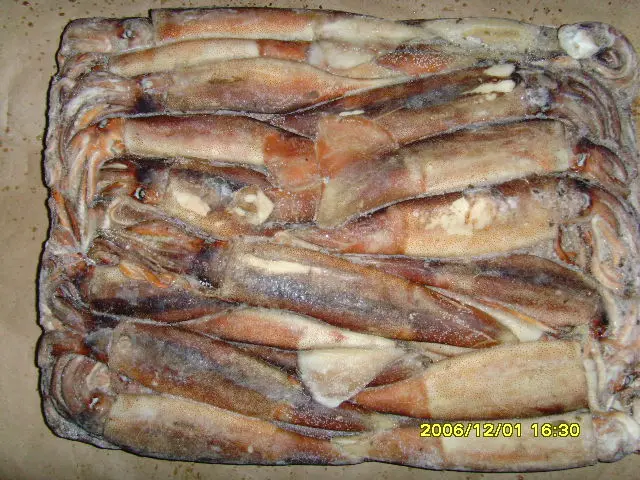 Hot Sale Export China Different Size Black Squid Frozen Seafood Bait 100150g Illex Fish Supplied Red Loligo With High Quality