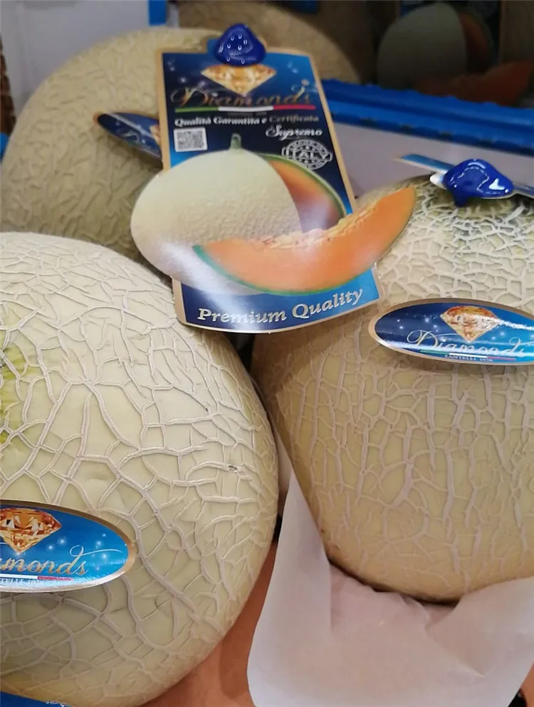 Italian Orange Pulp Musk Melon Fresh Fruits Fresh Melons