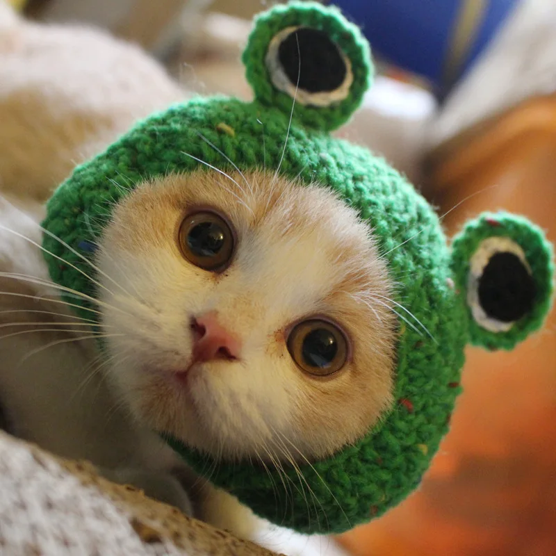 Factory Dog Cap Green Hot Sale Hand-knitted Frog Winter Crochet hat Cat Hat for Cute Dog Accessories of Small Dogs