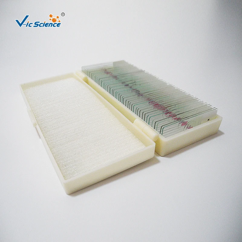 Microscope Pathology Slides Medical 50 Kinds Medical Educational Biology Teaching Slide Human Pathology Professional Slide