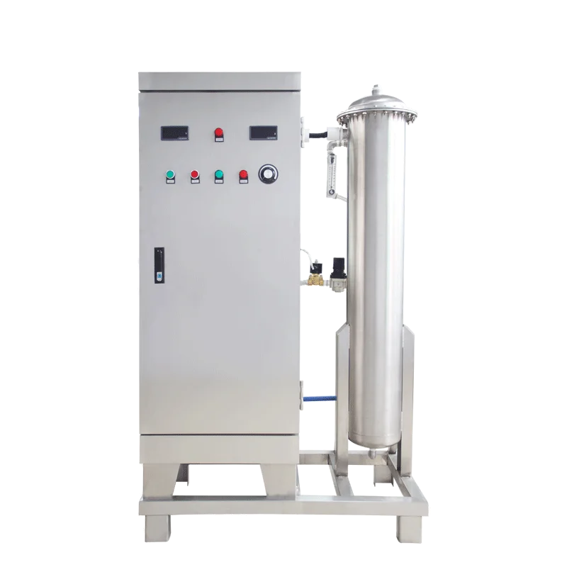 200g 300g 400g 500g ozone generator water ozonator large scale water treatment system