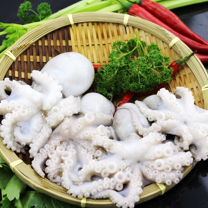 
High quality whole round frozen baby octopus for sale 