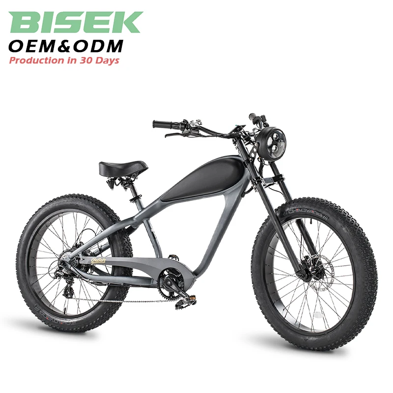 OEM Vintage 48V 500W 750W 1000W US Warehouse Lithium Battery Fat Tire Electric Mountain Bicycle e-bike