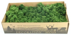 Wholesale Stabilized Preserved Lichen Reindeer Moss For Office Wall Decoration