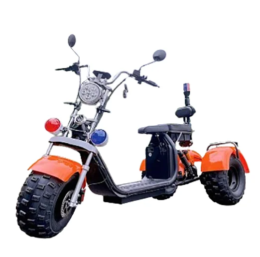 Electric Tricycles Other Motorized Moto Diesel 800W 20Inch For Cargo Frame Tricycle