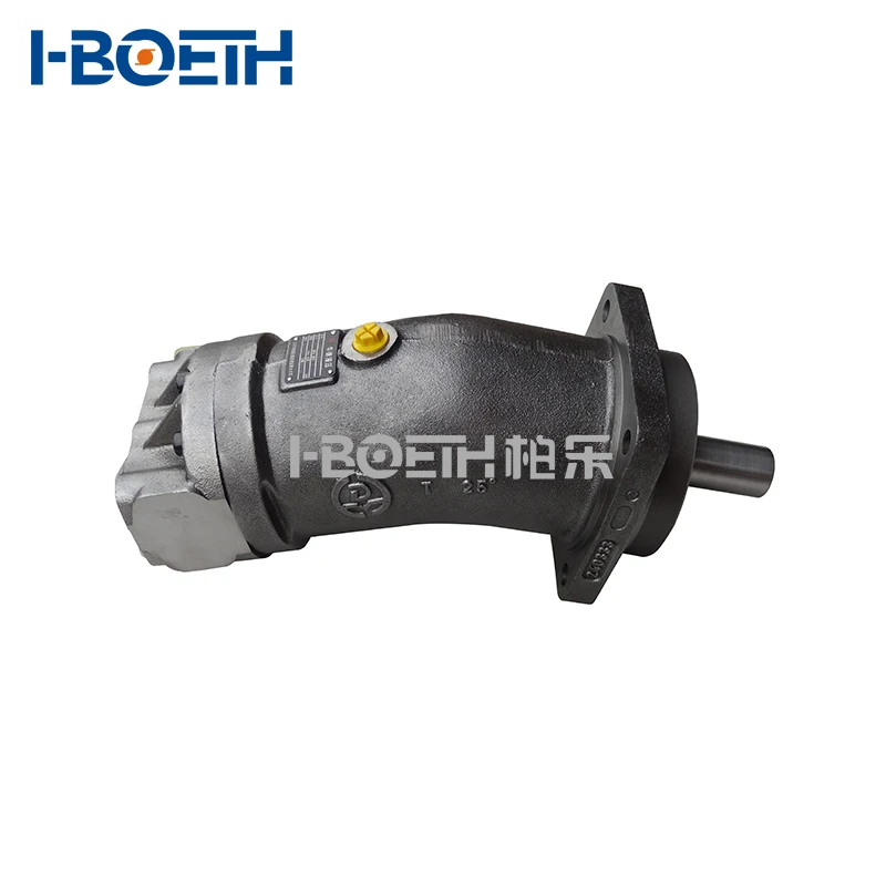 Rexroth A2FM56/61W-VPB030 A2FM12 A2FM16 A2FM23 A2FM32 Hydraulic Motor