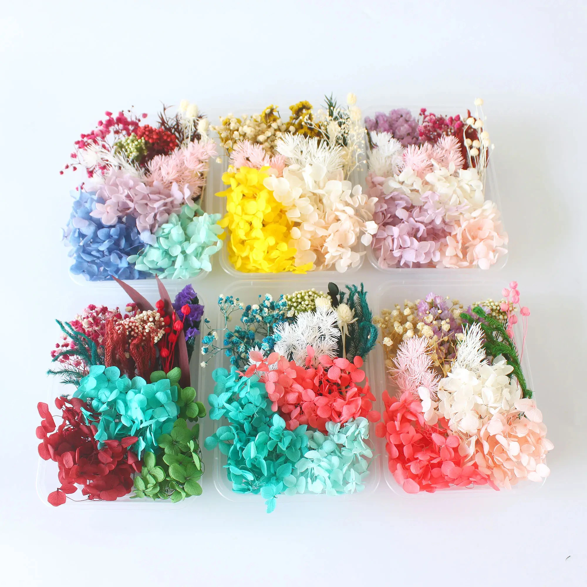 Random DIY Boxed Mixed Dried Flower For Resin Art Nails Decor Mobile Phone Shell Real Flower