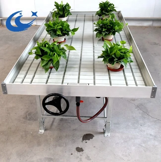 rolling benches ebb and flood tray tobacco seedbed